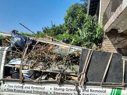 Best Moving and Downsizing Cleanouts  in Folly Beach, SC